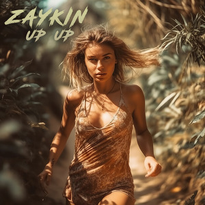 Zaykin - Up Up