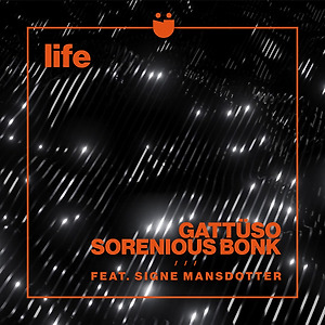 GATTÜSO & Sorenious Bonk ft. Signe Mansdotter - Life