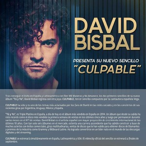 David Bisbal - Culpable