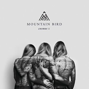 Mountain Bird - The Visitor