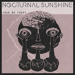 Nocturnal Sunshine - Take Me There