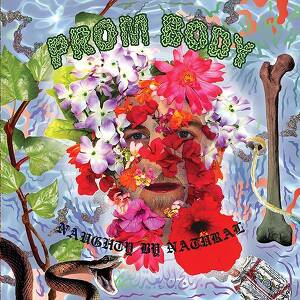 Prom Body - My Paradise