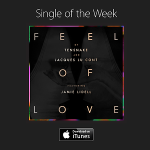 Tensnake, Jacques Lu Cont  ft. Jamie Lidell - Feel Of Love