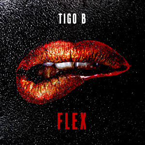 Tigo B - Flex (Time to have Sex)