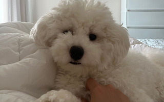 하루 6시간<br>재택근무로 달라진<br>점
