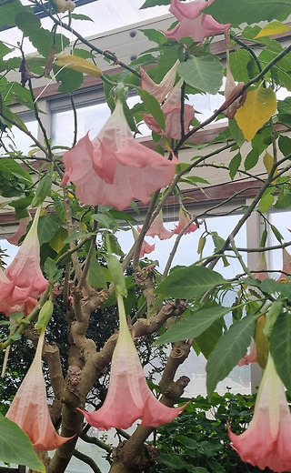 첫 월급은 통째로<br>시부모님께<br>