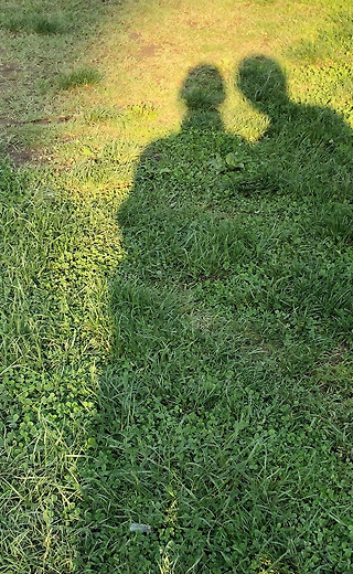 나도 쿨하게 딩크라<br>말하고 싶다<br>