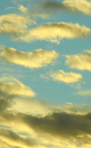 아끼는 팀원이<br>회사를 그만 두기로<br>했다.