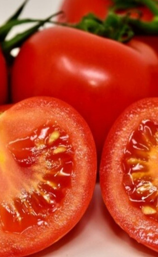 건강한 토마토
