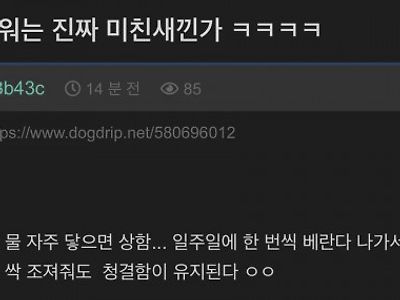 물샤워 하는 새끼들은 진짜 ㅁㅊㄴ들임