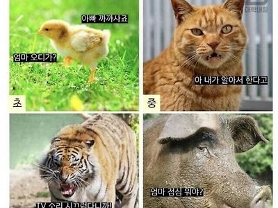 엄마아빠 눈에 비친 내 모습