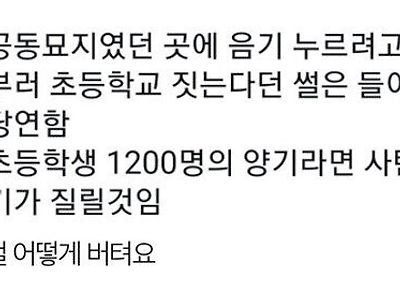 공동묘지터에 초등학교를 짓는 이유