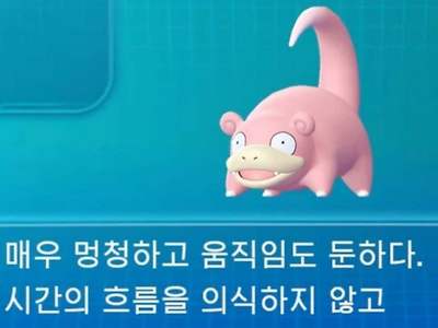 우리는 야돈이다..