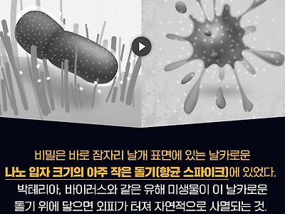 ??? : 야 세균 그냥 존나 날카로운 칼로 찔러서 죽이면 안됨?