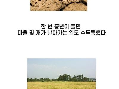 구황작물에 대한 이야기