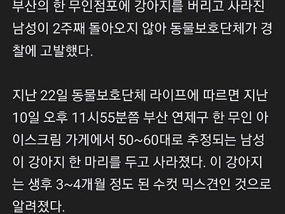 무인점포에 생후 4개월 강아지 버리고 사라진 남성…동물보호단체 고발