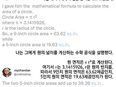 "9인치 피자를 주문했는데 5+5인치 피자가 나왔습니다"