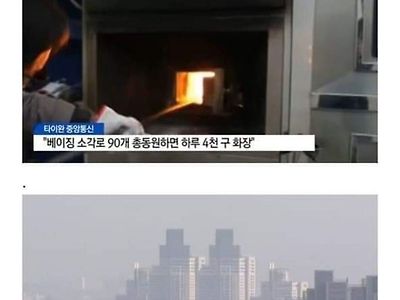 후덜후덜 코로나로 무비자 입국하는 중국인들