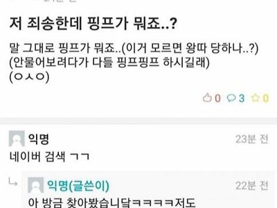 핑프가 뭐죠?