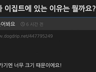 피라미드가 이집트에 있는 이유는 뭘까요?