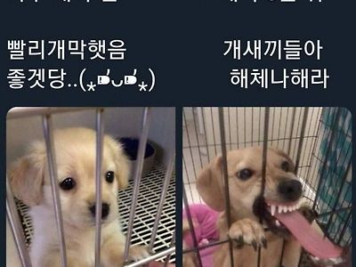 야구 팬 특징 ㅋㅋ