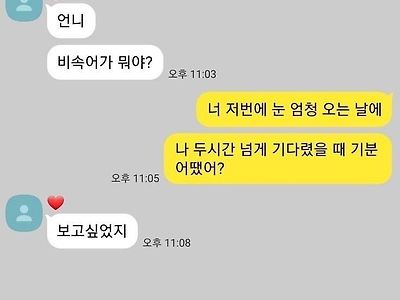 "언니, 비속어가 뭐야?"