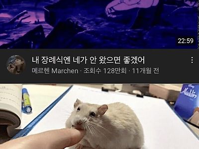 유투브 답글