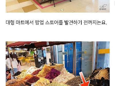 집에서 미역 키우기