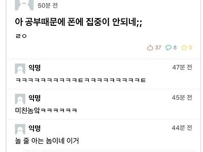 시험기간에 정신나간 대학생