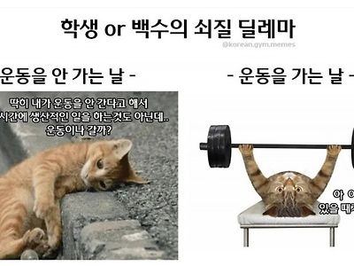 학생 백수의 쇠질 딜레마