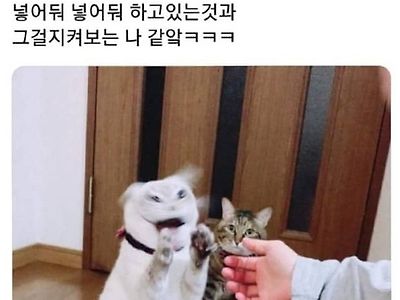 아이고 얘 이만큼이나 필요 없어 넣어둬