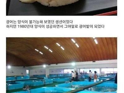 무장공비도 한수 접고 가는 광어회.jpg