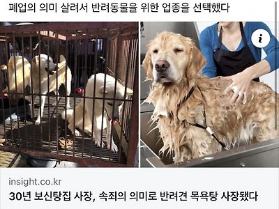 30년 보신탕집 사장, 속죄의 의미로 반려견 목욕탕 사장됐다