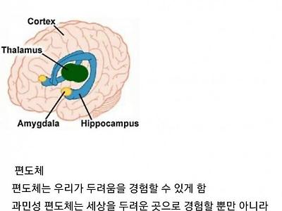 로이더가 우울한 이유