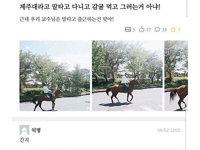 제주도 대학교에 대한 근거없는 고정관념을 버리세요