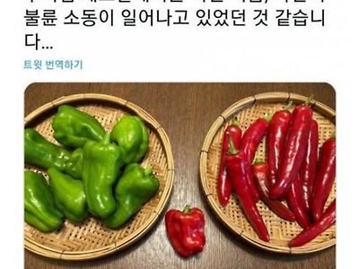 채소밭 불륜 사건