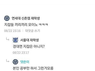 연대생 두들겨 패는 서울대생