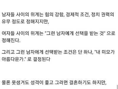 말 안통하는 페미에게 딜 넣는방법.JPG