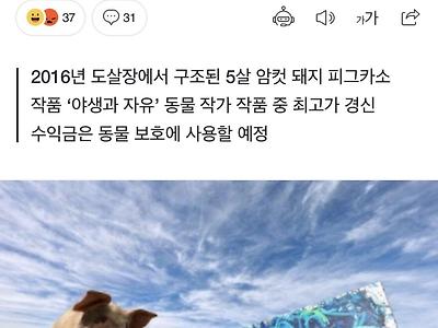 그림값 3100만원이라는 피그카소.mp4