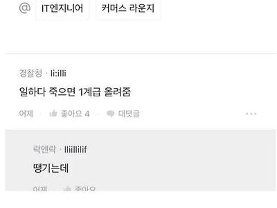 극한의 블라인드 회사 자랑