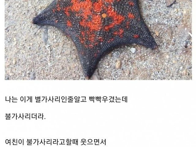 오늘 여친한테 멍청하다고 차임