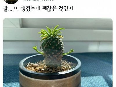 갑자기 팔이 자라남.jpg