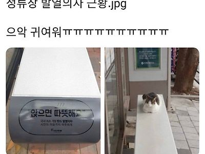 정류장 발열 의자 근황