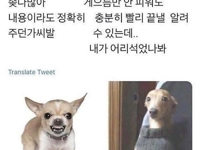 회사에서 일할 때 내 모습