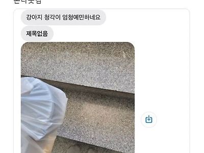 강아지가 심하게 짖으니 최대한 조용히 배달 부탁드립니다