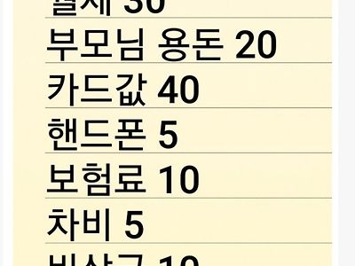 한달 180 받아서 60만원 저축한다는 가계부