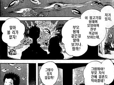 (스포) 근친을 다룬 아다치 만화 2개........jpg
