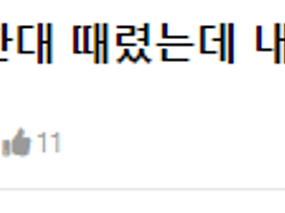 길고양이 한대 때렸는데 내가 잘못한거냐.jpg