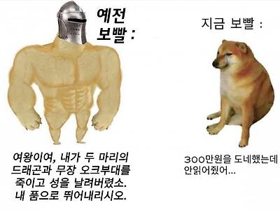 옛날 보빨 지금 보빨