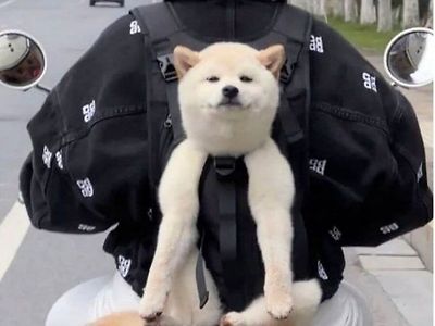 추월 방지 아이템.jpg